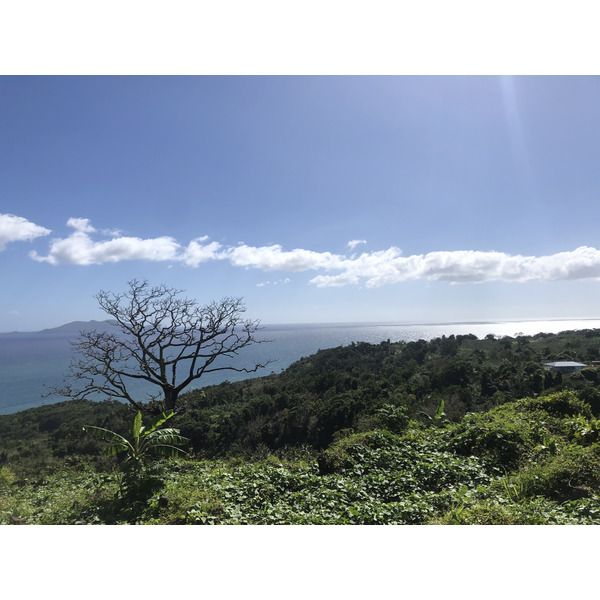 รูปถ่าย กวาเดอลูป(Guadeloupe) ทรัวรีวีแยร์(Trois Rivieres) 2021-02 4