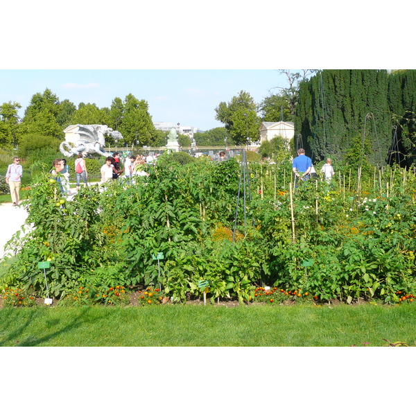 รูปถ่าย ฝรั่งเศส(France) ปารีส(Paris) สวนพันธ์ุพืช(Jardin des Plantes) 2007-08 204