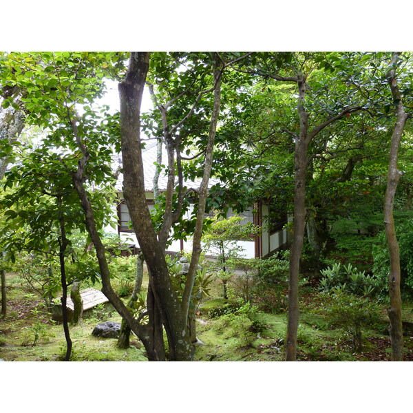 รูปถ่าย ญี่ปุ่น(Japan) เกียวโต(Kyoto) ตำหนักหลวงวัดนินนะจิ(Ninna ji imperial Residence) 2010-06 100