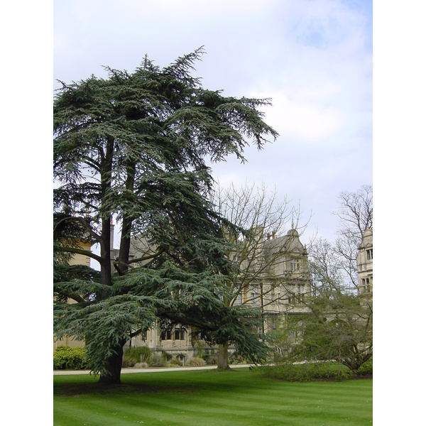 รูปถ่าย อังกฤษ(United Kingdom) อ็อกฟอร์ด(Oxford) 2001-04 32