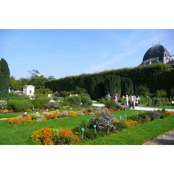 รูปถ่าย ฝรั่งเศส(France) ปารีส(Paris) สวนพันธ์ุพืช(Jardin des Plantes) 2007-08 183