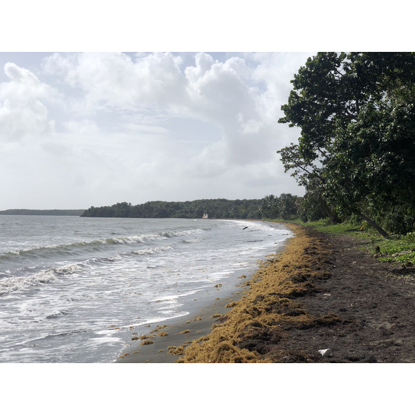 รูปถ่าย กวาเดอลูป(Guadeloupe) หาดวียาร์(Viard Beach) 2021-02 4