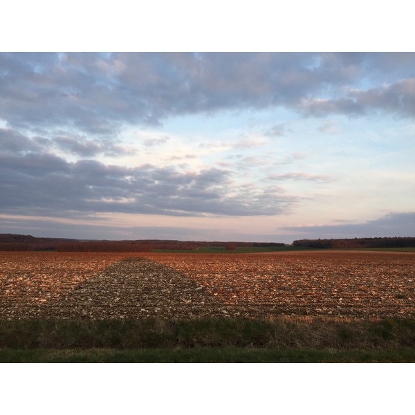 รูปถ่าย ฝรั่งเศส(France) ตอแนร์(Tonnerre) 2016-02 27