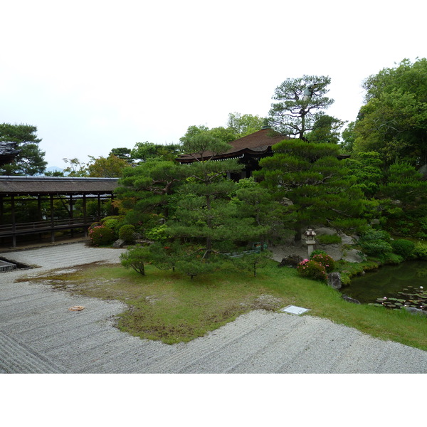 รูปถ่าย ญี่ปุ่น(Japan) เกียวโต(Kyoto) ตำหนักหลวงวัดนินนะจิ(Ninna ji imperial Residence) 2010-06 59