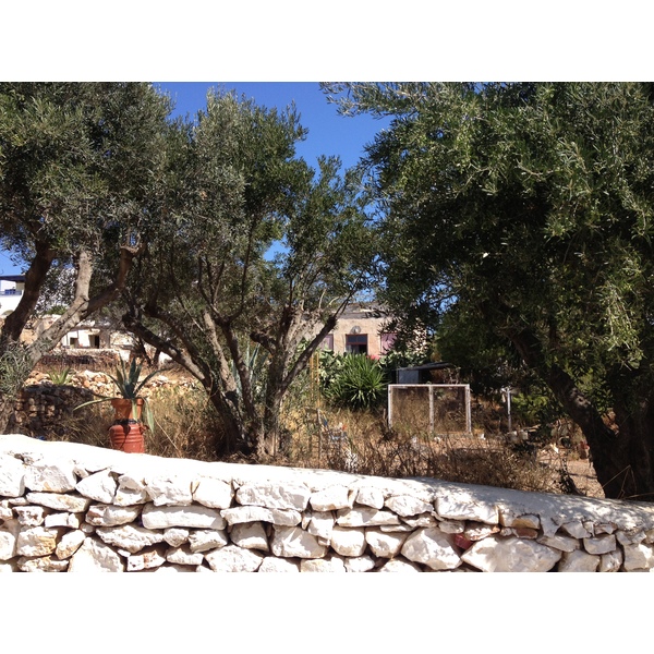 รูปถ่าย กรีก(Greece) เกาะคูโฟนิสเซีย(Koufonissia) 2014-07 394