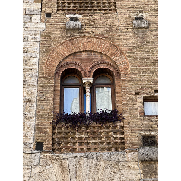 รูปถ่าย อิตาลี(Italy) ซานจีมิญญาโน(San Gimignano) 2021-09 17
