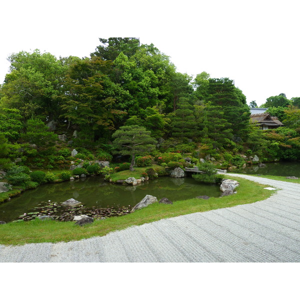 รูปถ่าย ญี่ปุ่น(Japan) เกียวโต(Kyoto) ตำหนักหลวงวัดนินนะจิ(Ninna ji imperial Residence) 2010-06 60