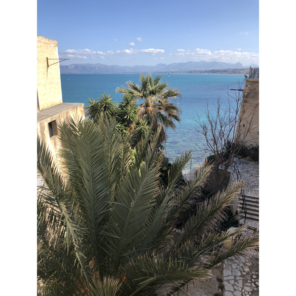 รูปถ่าย อิตาลี(Italy) ซิซิลี(Sicily) กัสเตลลัมมาเรเดลโกลโฟ(Castellammare del Golfo) 2020-02 28