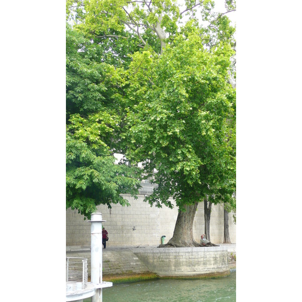 รูปถ่าย ฝรั่งเศส(France) ปารีส(Paris) แม่น้ำแซน(Seine river) 2007-06 3