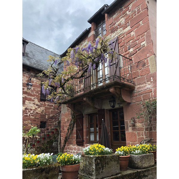รูปถ่าย ฝรั่งเศส(France) กอลงฌ์-ลา-รูฌ(Collonges la Rouge) 2018-04 121