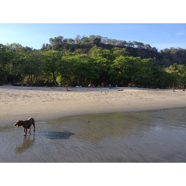 รูปถ่าย คอสตาริกา(Costa Rica) มอนเตซูมา(Montezuma) 2015-03 293