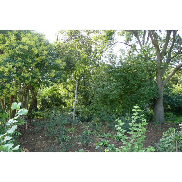 รูปถ่าย ฝรั่งเศส(France) ปารีส(Paris) สวนพันธ์ุพืช(Jardin des Plantes) 2007-08 152