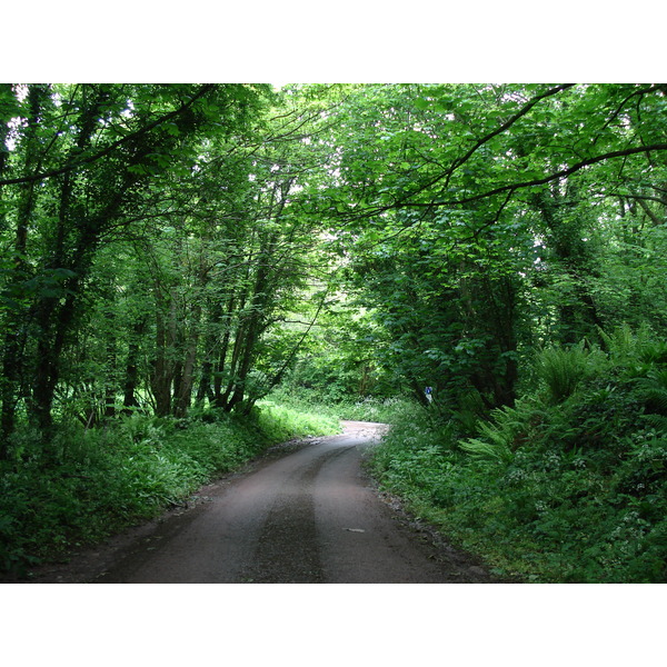 รูปถ่าย อังกฤษ(United Kingdom) เปมโบรคเชอร์(Pembrokeshire) 2006-05 7