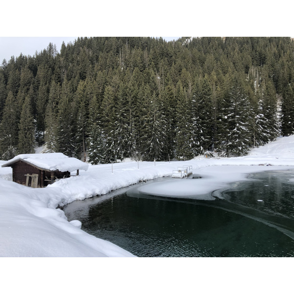 รูปถ่าย ฝรั่งเศส(France) ปรา-ซูร์-อาร์ลี(Praz sur Arly) 2019-12 76