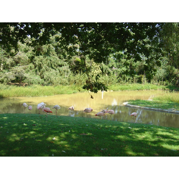 รูปถ่าย ฝรั่งเศส(France) บรอแฟร์เร(Branfere) 2004-08 14