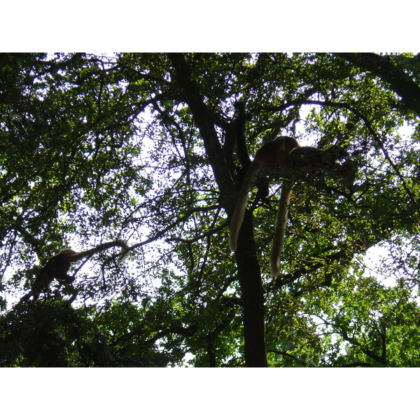 รูปถ่าย ฝรั่งเศส(France) บรอแฟร์เร(Branfere) 2004-08 2