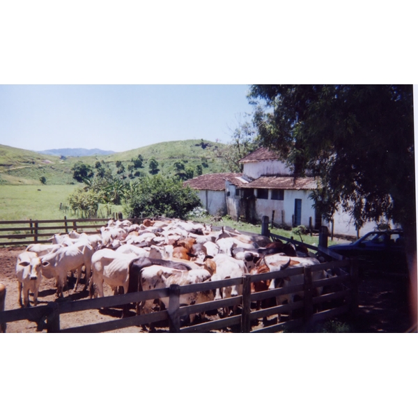 รูปถ่าย บราซิล(Brazil) ปาราติ(Parati) 1999-01 1