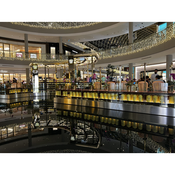 รูปถ่าย สิงคโปร์(Singapore) มารีนาเบย์แซนด์ส(Marina Bay Sands) 2023-01 49