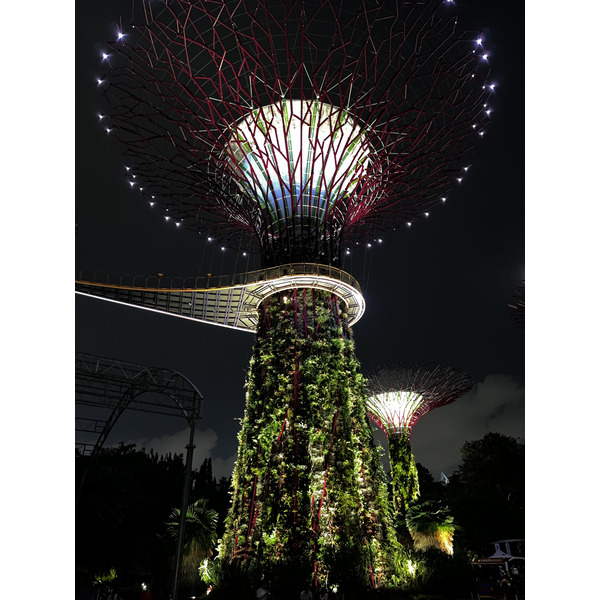 รูปถ่าย สิงคโปร์(Singapore) การ์เดนส์บายเดอะเบย์(Garden by the bay) 2023-01 48