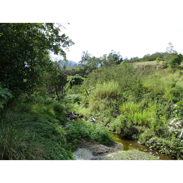 รูปถ่าย นิวแคลิโดเนีย(New Caledonia) ถนนจากตงตูตาไปทีโอ(Tontouta to Thio road) 2010-05 138