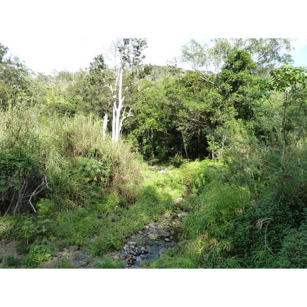 รูปถ่าย นิวแคลิโดเนีย(New Caledonia) ถนนจากตงตูตาไปทีโอ(Tontouta to Thio road) 2010-05 128