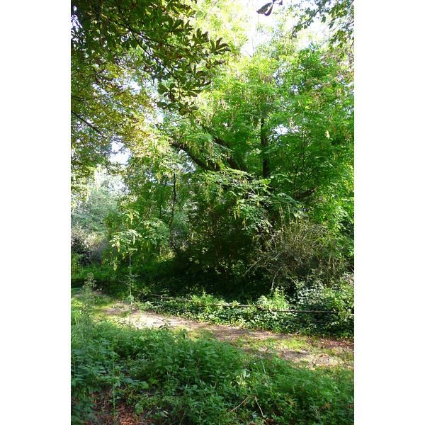 รูปถ่าย ฝรั่งเศส(France) ปารีส(Paris) สวนพันธ์ุพืช(Jardin des Plantes) 2007-08 107