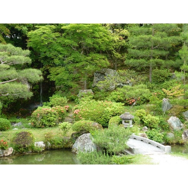 รูปถ่าย ญี่ปุ่น(Japan) เกียวโต(Kyoto) ตำหนักหลวงวัดนินนะจิ(Ninna ji imperial Residence) 2010-06 31