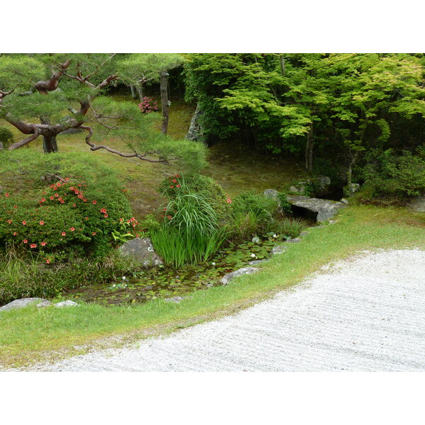 รูปถ่าย ญี่ปุ่น(Japan) เกียวโต(Kyoto) ตำหนักหลวงวัดนินนะจิ(Ninna ji imperial Residence) 2010-06 40