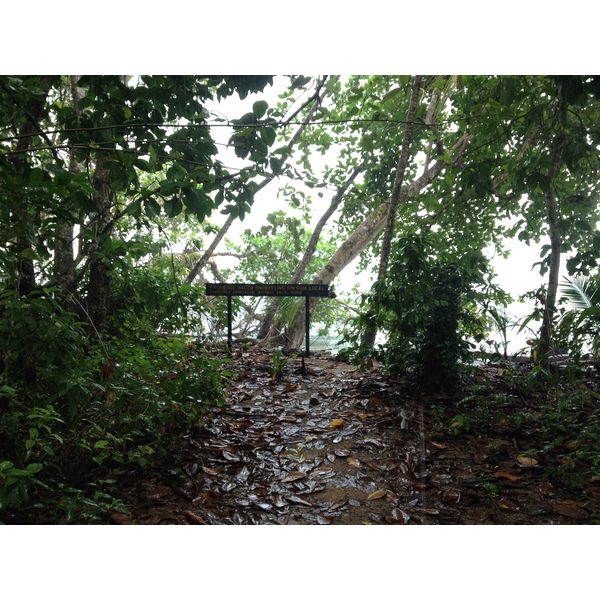 รูปถ่าย คอสตาริกา(Costa Rica) กาอุยตา(Cahuita) 2015-03 271