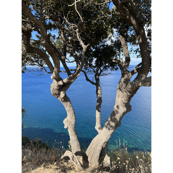 รูปถ่าย อิตาลี(Italy) เกาะเอลบา(Isola d'Elba) 2021-09 147