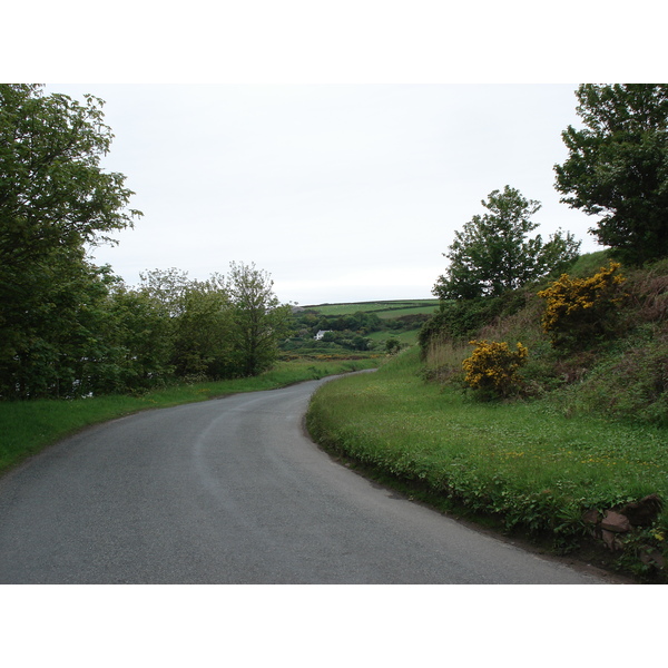 รูปถ่าย อังกฤษ(United Kingdom) เปมโบรคเชอร์(Pembrokeshire) เดล(Dale) 2006-05 4