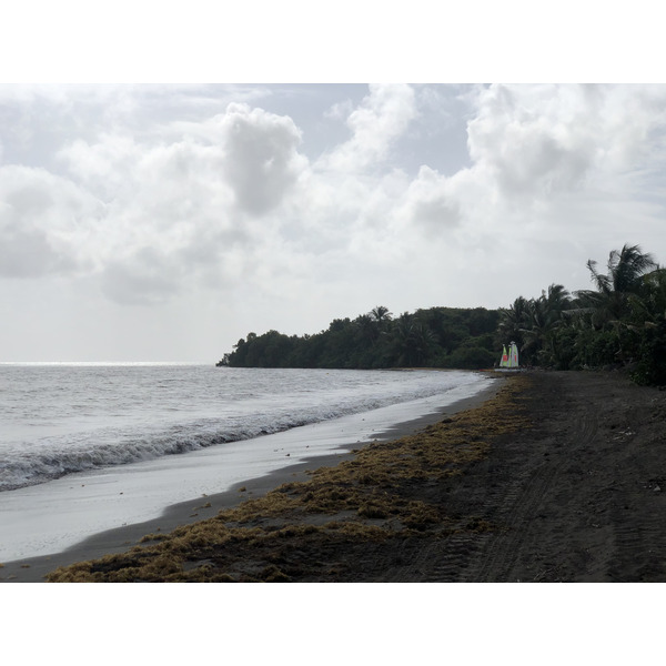 รูปถ่าย กวาเดอลูป(Guadeloupe) หาดวียาร์(Viard Beach) 2021-02 5