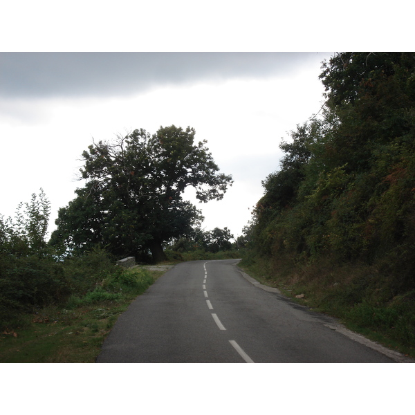 รูปถ่าย ฝรั่งเศส(France) คอร์สิคา(Corsica) วัลเล-ดาเลซานี(Valle d'alesani) 2006-09 79