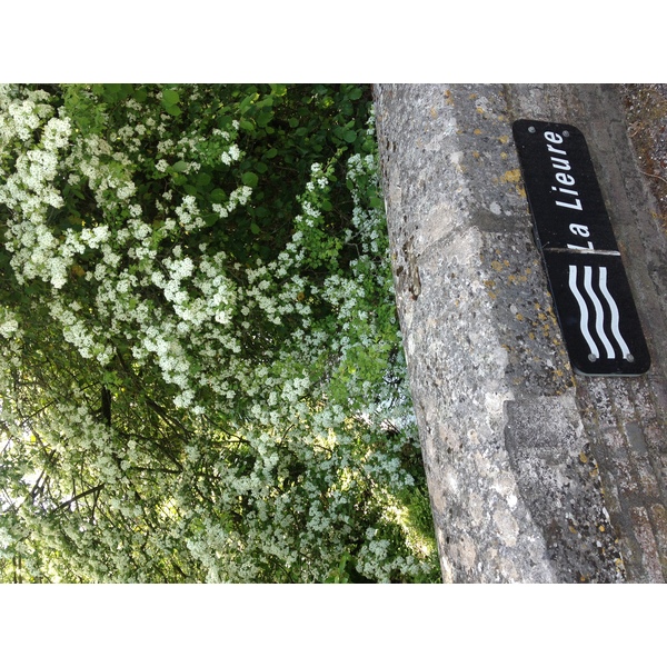 รูปถ่าย ฝรั่งเศส(France) ลียงส์-ลา-ฟอแร(Lyons La Foret) 2014-05 95