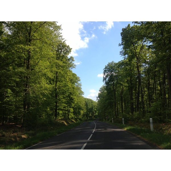 รูปถ่าย ฝรั่งเศส(France) ลียงส์-ลา-ฟอแร(Lyons La Foret) 2014-05 41