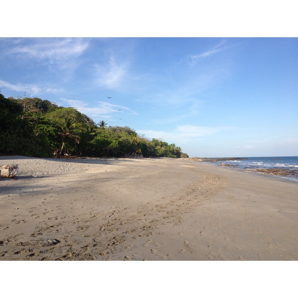 รูปถ่าย คอสตาริกา(Costa Rica) มอนเตซูมา(Montezuma) 2015-03 430