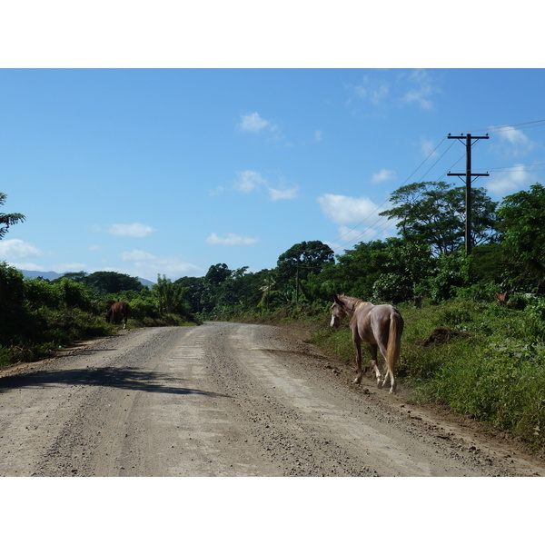 รูปถ่าย ฟิจิ(Fiji) แม่น้ำซิงกาโตกา(Sigatoka river) 2010-05 92