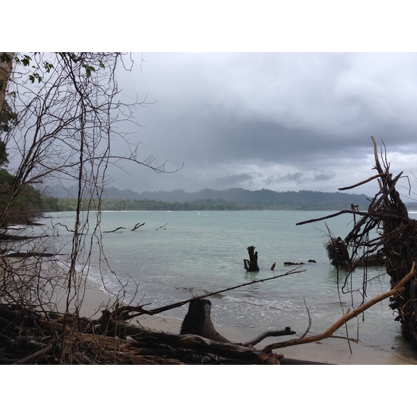 รูปถ่าย คอสตาริกา(Costa Rica) กาอุยตา(Cahuita) 2015-03 241