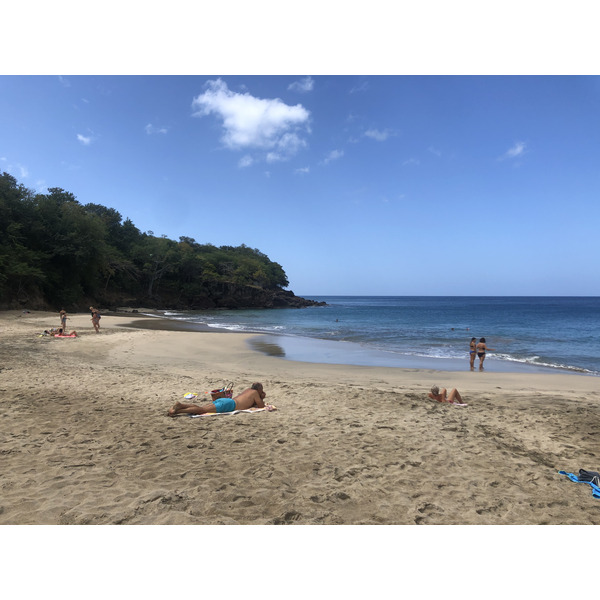 รูปถ่าย กวาเดอลูป(Guadeloupe) แหลมแบล็กพอยต์(Black Point) 2021-02 14