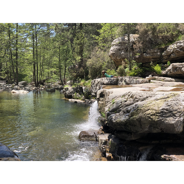 รูปถ่าย ฝรั่งเศส(France) คอร์สิคา(Corsica) ป่าไอโตเน(Aitone Forest) 2021-06 19
