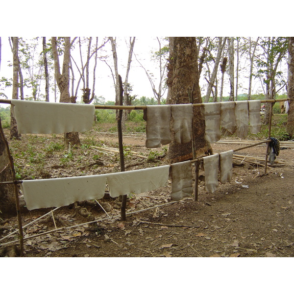 รูปถ่าย พม่า(Myanmar) ถนนจากทวายไปหาดหม่องมะกัน(Road from Dawei to Maungmagan beach) 2005-01 46