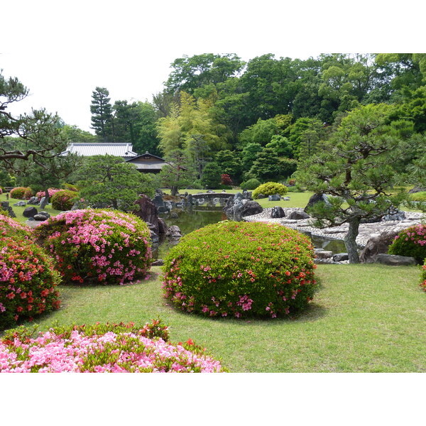 รูปถ่าย ญี่ปุ่น(Japan) เกียวโต(Kyoto) ปราสาทนิโจ(Nijo Castle) 2010-06 124
