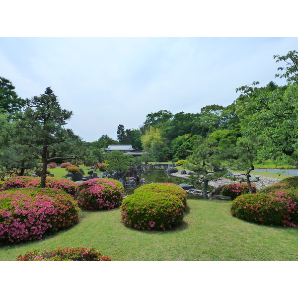 รูปถ่าย ญี่ปุ่น(Japan) เกียวโต(Kyoto) ปราสาทนิโจ(Nijo Castle) 2010-06 131