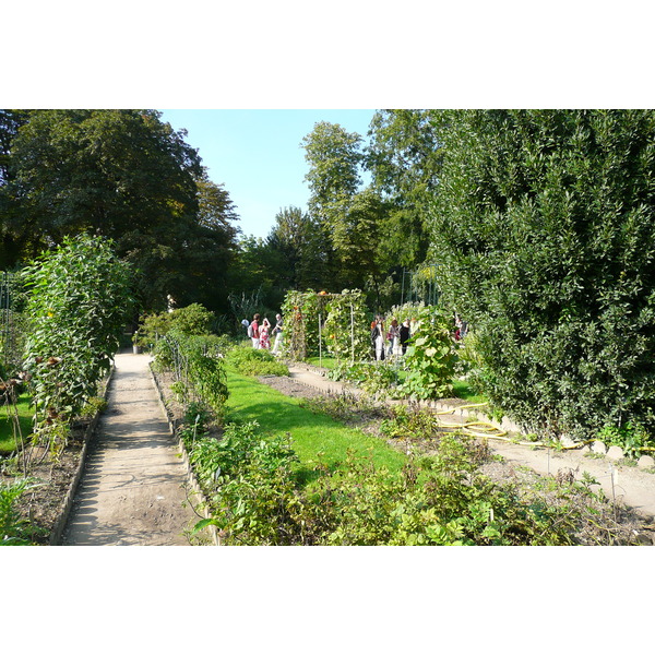 รูปถ่าย ฝรั่งเศส(France) ปารีส(Paris) สวนพันธ์ุพืช(Jardin des Plantes) 2007-08 77