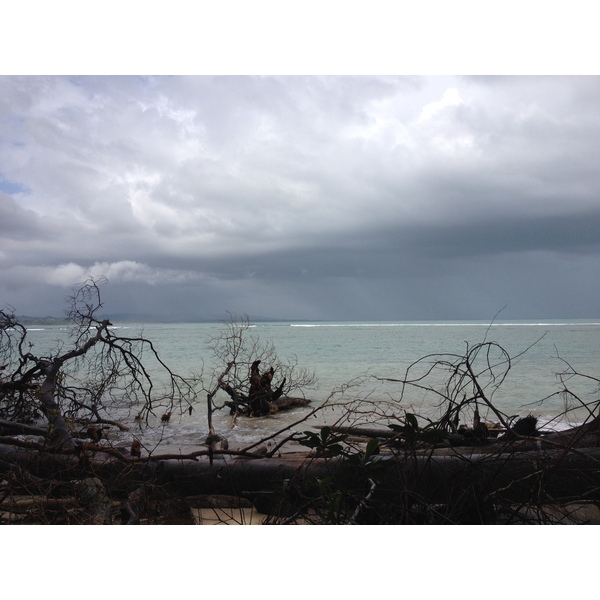 รูปถ่าย คอสตาริกา(Costa Rica) กาอุยตา(Cahuita) 2015-03 54