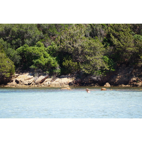 รูปถ่าย ฝรั่งเศส(France) คอร์สิคา(Corsica) หาดรอนดีนารา(Rondinara Beach) 2017-07 12