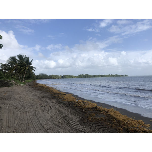 รูปถ่าย กวาเดอลูป(Guadeloupe) หาดวียาร์(Viard Beach) 2021-02 0