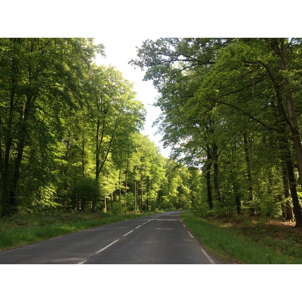 รูปถ่าย ฝรั่งเศส(France) ลียงส์-ลา-ฟอแร(Lyons La Foret) 2014-05 88