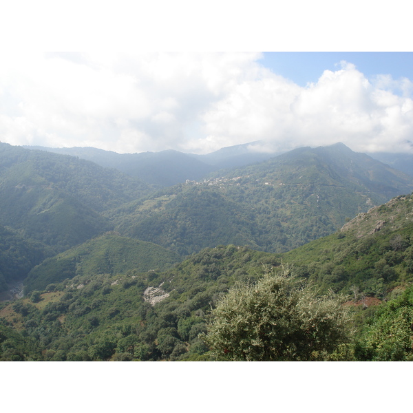 รูปถ่าย ฝรั่งเศส(France) คอร์สิคา(Corsica) วัลเล-ดาเลซานี(Valle d'alesani) 2006-09 66