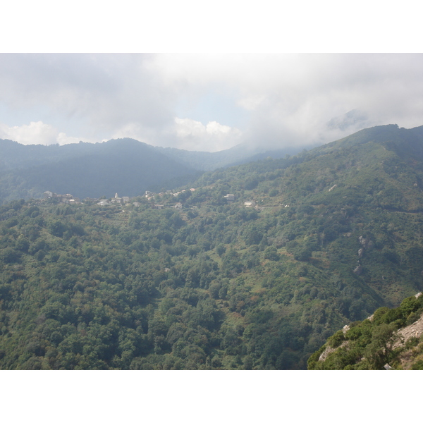 รูปถ่าย ฝรั่งเศส(France) คอร์สิคา(Corsica) วัลเล-ดาเลซานี(Valle d'alesani) 2006-09 56